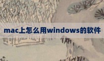mac上怎么用windows的软件