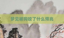 梦见被狗咬了什么预兆
