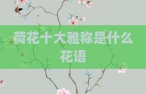 荷花十大雅称是什么花语