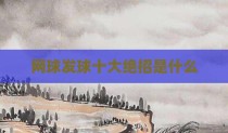 网球发球十大绝招是什么