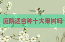 庭院适合种十大果树吗