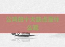 公鸡的十大缺点是什么呢