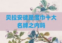 贝拉安徒是湿巾十大名牌之内吗