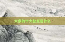 大象的十大缺点是什么