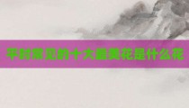 平时常见的十大最美花是什么花
