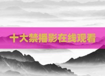 十大禁播影在线观看