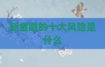 新金融的十大风险是什么