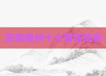 安徽宿州十大首富排名