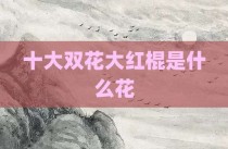 十大双花大红棍是什么花