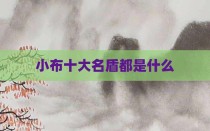 小布十大名盾都是什么