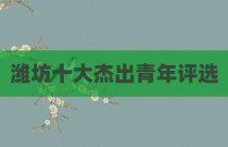 潍坊十大杰出青年评选