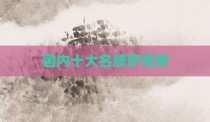 国内十大名牌萨克斯