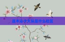 连木沁十大队是什么社区