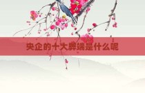 央企的十大弊端是什么呢