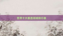 世界十大垂直领域排行表