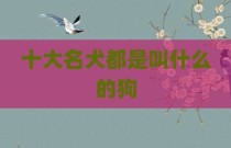 十大名犬都是叫什么的狗