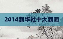 2014新华社十大新闻