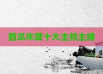 西瓜年度十大主机主播