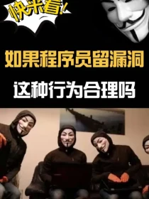 如果程序员在项目中留下漏洞，这种行为合理吗？