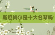 斯坦梅尔是十大名琴吗