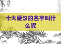 十大硬汉的名字叫什么呢