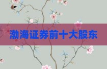 渤海证券前十大股东
