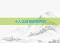 十大品牌加盟美容院