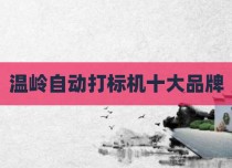 温岭自动打标机十大品牌