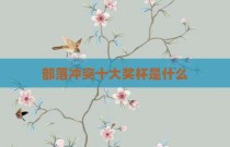 部落冲突十大奖杯是什么