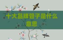 十大品牌管子是什么意思