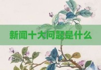 新闻十大问题是什么