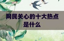 网民关心的十大热点是什么