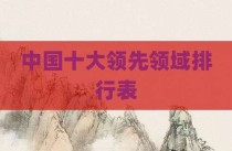 中国十大领先领域排行表