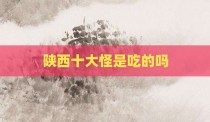 陕西十大怪是吃的吗