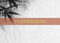 十大选手皮肤有区别吗