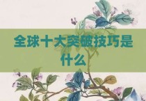 全球十大突破技巧是什么