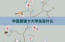 中国最强十大甲虫是什么