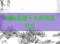 湿热咳嗽十大药物是什么