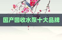国产回收水泵十大品牌