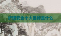 护理安全十大目标是什么