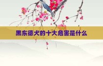黑东德犬的十大危害是什么