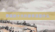 李昊的十大扑球手法是什么
