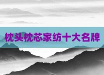 枕头枕芯家纺十大名牌