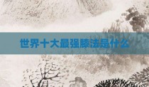 世界十大最强膝法是什么