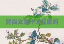 静尚女装十大品牌吗