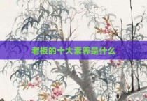 老板的十大素养是什么