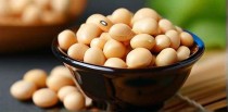 全国十大豆芽品牌叫什么