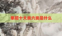 单招十大类六类是什么