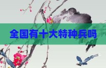 全国有十大特种兵吗