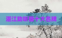 湛江助听器十大名牌